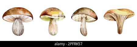 Jeu d'illustrations aquarelles de champignons forestiers. Illustration pour enfants isolée sur fond blanc de champignons de dessin animé.dessinée à la main pour poster imprimé, Banque D'Images