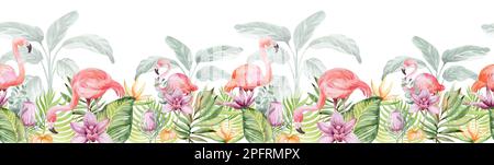 Bordure fleurie sans couture aquarelle. Australie fleurs tropicales et plantes avec des oiseaux flammants. Décoration, cartes postales, sublimation. Banque D'Images