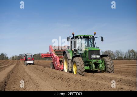 Récolte de pommes de terre (Solanum tuberosum), préparation du lit de semence à l'aide de la machine de dépose de pierres Grimme tractée par les tracteurs John Deere 6930 et Massey Ferguson Banque D'Images