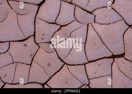 Gros plan de la boue brune séchée avec des fissures et des gouttes de pluie humides sur la surface. Banque D'Images