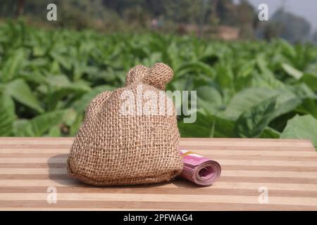 ferme de tabac de couleur verte avec sac d'argent pour la récolte Banque D'Images