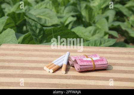 ferme de tabac de couleur verte avec billet de banque et cigarette pour la récolte Banque D'Images