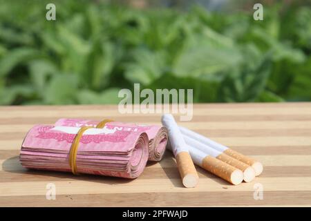 ferme de tabac de couleur verte avec billet de banque et cigarette pour la récolte Banque D'Images