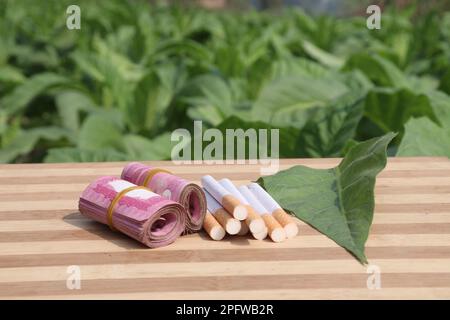 ferme de tabac de couleur verte avec billet de banque et cigarette pour la récolte Banque D'Images