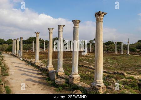 7 juin 2022, Famagusta, Chypre : colonnes du gymnase de Salamis avec plusieurs bains romains à proximité. Salamis était une ancienne cité-état grecque sur la côte est de Chypre, à l'embouchure de la rivière Pedieos, près de Famagouste moderne. Le fondateur de Salamis était Teucer, fils de Telamon, roi de l'île grecque de Salamis, qui ne pouvait pas rentrer à la maison après la guerre de Troie parce qu'il n'avait pas vengé son frère Ajax. Les découvertes archéologiques remontent au XIe siècle avant Jésus-Christ, âge du bronze tardif. Le ''centre culturel'' de Salamis pendant la période romaine a un gymnase, théâtre, amphithéâtre, stade et p Banque D'Images