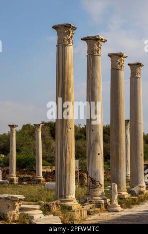 7 juin 2022, Famagusta, Chypre : colonnes du gymnase de Salamis avec plusieurs bains romains à proximité. Salamis était une ancienne cité-état grecque sur la côte est de Chypre, à l'embouchure de la rivière Pedieos, près de Famagouste moderne. Le fondateur de Salamis était Teucer, fils de Telamon, roi de l'île grecque de Salamis, qui ne pouvait pas rentrer à la maison après la guerre de Troie parce qu'il n'avait pas vengé son frère Ajax. Les découvertes archéologiques remontent au XIe siècle avant Jésus-Christ, âge du bronze tardif. Le ''centre culturel'' de Salamis pendant la période romaine a un gymnase, théâtre, amphithéâtre, stade et p Banque D'Images