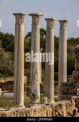 7 juin 2022, Famagusta, Chypre : colonnes du gymnase de Salamis avec plusieurs bains romains à proximité. Salamis était une ancienne cité-état grecque sur la côte est de Chypre, à l'embouchure de la rivière Pedieos, près de Famagouste moderne. Le fondateur de Salamis était Teucer, fils de Telamon, roi de l'île grecque de Salamis, qui ne pouvait pas rentrer à la maison après la guerre de Troie parce qu'il n'avait pas vengé son frère Ajax. Les découvertes archéologiques remontent au XIe siècle avant Jésus-Christ, âge du bronze tardif. Le ''centre culturel'' de Salamis pendant la période romaine a un gymnase, théâtre, amphithéâtre, stade et p Banque D'Images