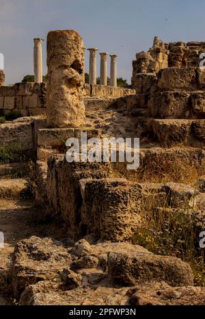 7 juin 2022, Famagusta, Chypre : colonnes du gymnase de Salamis avec plusieurs bains romains à proximité. Salamis était une ancienne cité-état grecque sur la côte est de Chypre, à l'embouchure de la rivière Pedieos, près de Famagouste moderne. Le fondateur de Salamis était Teucer, fils de Telamon, roi de l'île grecque de Salamis, qui ne pouvait pas rentrer à la maison après la guerre de Troie parce qu'il n'avait pas vengé son frère Ajax. Les découvertes archéologiques remontent au XIe siècle avant Jésus-Christ, âge du bronze tardif. Le ''centre culturel'' de Salamis pendant la période romaine a un gymnase, théâtre, amphithéâtre, stade et p Banque D'Images