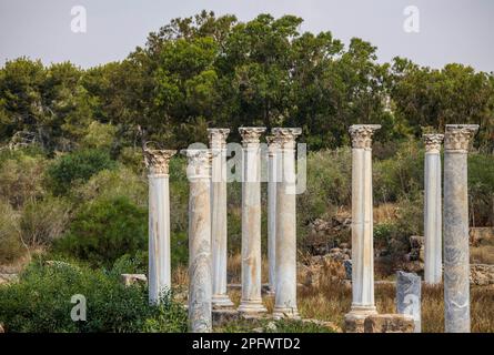 7 juin 2022, Famagusta, Chypre : colonnes du gymnase de Salamis avec plusieurs bains romains à proximité. Salamis était une ancienne cité-état grecque sur la côte est de Chypre, à l'embouchure de la rivière Pedieos, près de Famagouste moderne. Le fondateur de Salamis était Teucer, fils de Telamon, roi de l'île grecque de Salamis, qui ne pouvait pas rentrer à la maison après la guerre de Troie parce qu'il n'avait pas vengé son frère Ajax. Les découvertes archéologiques remontent au XIe siècle avant Jésus-Christ, âge du bronze tardif. Le ''centre culturel'' de Salamis pendant la période romaine a un gymnase, théâtre, amphithéâtre, stade et p Banque D'Images