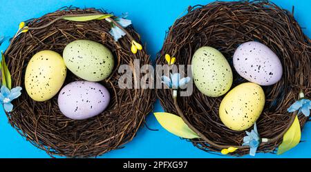 Oeufs de Pâques dans des paniers de nid en osier sur fond bleu. Banque D'Images