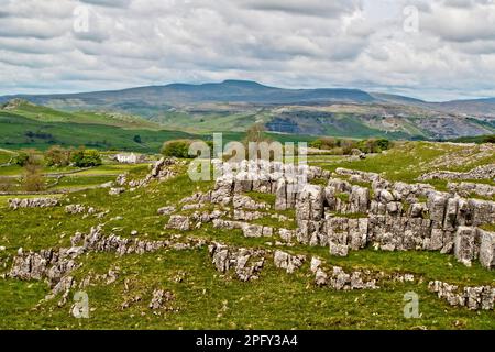 La longue élévation à Ingleborough peut être vue clairement de Winskill dans de beaux paysages de calcaire. Banque D'Images