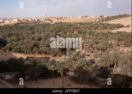 Nefta, Tunisie. 02nd mars 2023. Les maisons entourent une oasis de palmiers. Credit: Sebastian Kahnert/dpa/Alay Live News Banque D'Images