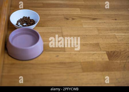 Vue rapprochée d'une tasse d'eau et d'une tasse de ​​food de chien sec sur parquet. Banque D'Images