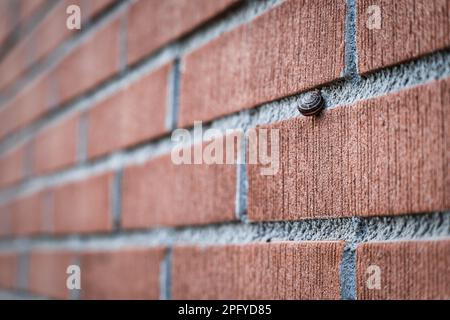 Vue en perspective d'un petit escargot sur un mur de briques Banque D'Images