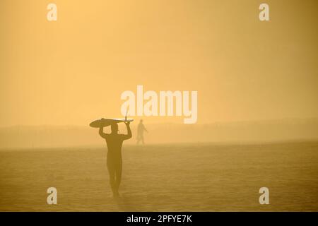 les gens qui marchent le long de la plage pendant l'heure d'or, images dorées par la lumière du soleil et silhouettes contre la lumière Banque D'Images