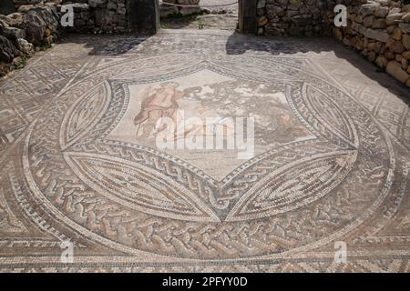 Mosaïque représentant Dionysus/Bacchus et Ariadne à Volubilis Maroc Banque D'Images