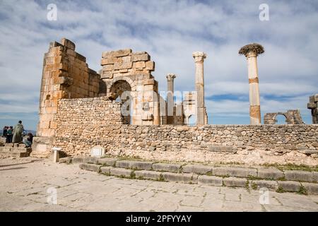 Ruines romaines à Volubilis Maroc Banque D'Images