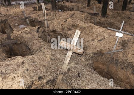 Izium, Ukraine. 3rd mars 2023. Des croix sont vues sur un site forestier après une exhumation dans la ville d'Izium, récemment libérée par les forces ukrainiennes. Il ne reste que des croisements et des fosses dans la forêt de pins à la périphérie d'Izium, où une fosse commune a été découverte après la libération de la ville par les forces ukrainiennes. À la fin de septembre, les responsables de l'application de la loi ont terminé l'exhumation. Ils ont enlevé 450 corps des tombes, pour la plupart des civils. Un employé d'un service rituel local les a ramassés dans la ville et les a enterrés dans les bois près de l'ancien cimetière. (Image de crédit : © Mykhaylo Banque D'Images