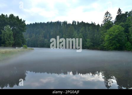 Nebel, Saale, Parc naturel des montagnes de la Sarte de Thuringe/haute Saale, Thuringe, Allemagne Banque D'Images