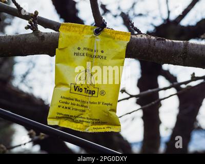 Loriol, France - 17 mars 2023:Vio-trap est le premier piège à olives approuvé en France. VIO-Trap peut être utilisé dans l'agriculture biologique. Cette solution BIO, est Banque D'Images