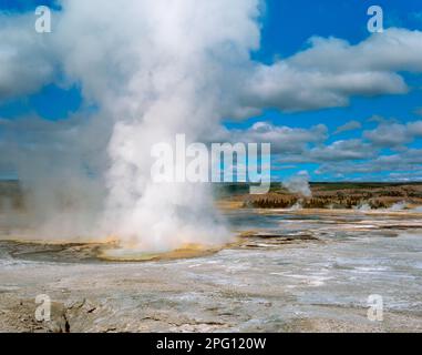 Clepsydra Geyser, Pot de peinture Fontaine Bassin, le Parc National de Yellowstone, Wyoming Banque D'Images