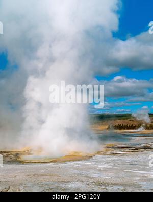 Clepsydra Geyser, Pot de peinture Fontaine Bassin, le Parc National de Yellowstone, Wyoming Banque D'Images