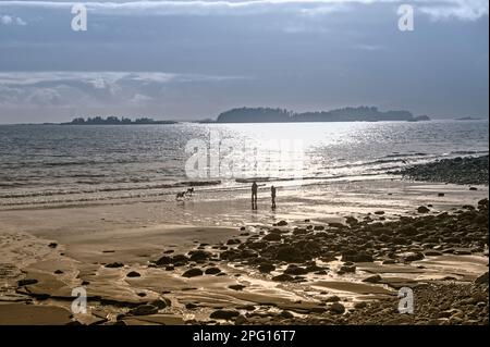 Deux personnes marchant et deux chiens courant le long de Sandy Beach à Sitka, Alaska, États-Unis Banque D'Images