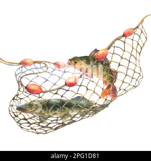 Illustration aquarelle, poisson pris dans un filet de pêche. La perche et le brochet se sont emmêlés dans un filet de pêche isolé sur fond blanc. Découper l'élément CLIP art Banque D'Images