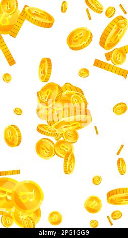 Les pièces de Bitcoin tombent. Pièces de BTC d'or dispersées de crypto-monnaie. Monnaie Internet. Concept de richesse ou de réussite du jackpot. Illustration vectorielle. Illustration de Vecteur