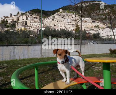 En premier plan un Jack Russel s'amuser sur un carrousel pour les enfants et en arrière-plan le village de Pesche dans la province d'Isernia - Molise Banque D'Images