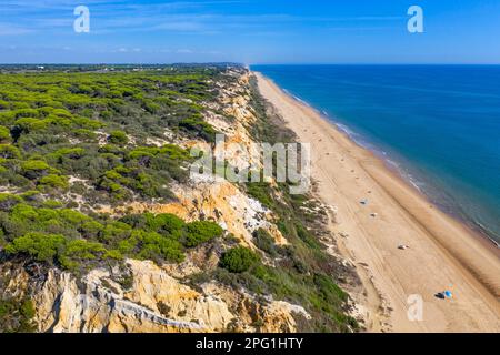 Vue aérienne de la plage de Fontanilla sable et falaises, Mazagon, Costa de la Luz, province de Huelva, Andalousie, Espagne, Europe entre le Parc naturel de Doñana Banque D'Images