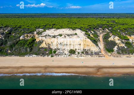 Vue aérienne de la plage de Fontanilla sable et falaises, Mazagon, Costa de la Luz, province de Huelva, Andalousie, Espagne, Europe entre le Parc naturel de Doñana Banque D'Images