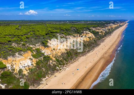 Vue aérienne de la plage de Fontanilla sable et falaises, Mazagon, Costa de la Luz, province de Huelva, Andalousie, Espagne, Europe entre le Parc naturel de Doñana Banque D'Images