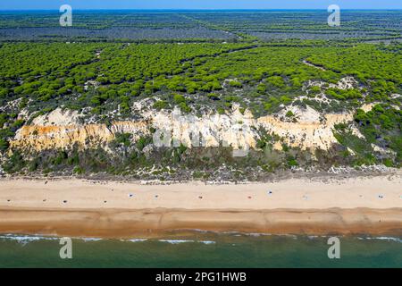 Vue aérienne de la plage de Fontanilla sable et falaises, Mazagon, Costa de la Luz, province de Huelva, Andalousie, Espagne, Europe entre le Parc naturel de Doñana Banque D'Images