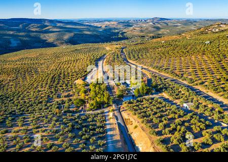 La via Verde, une ligne de chemin de fer désaffectée à l'huile d'olive, maintenant un chemin de marche et de vélo près de Zuheros dans la Sierra Subbetica, Andalousie, Espagne la Subbética Banque D'Images