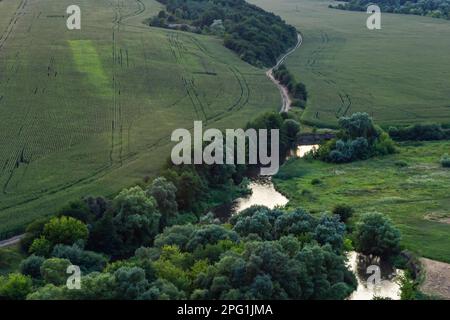 Paysage magnifique forêt alluviale à la rivière en arrière lumière au printemps. Banque D'Images