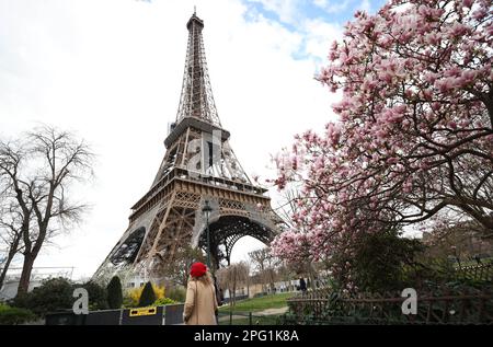 Paris, France. 19th mars 2023. Une femme passe par les fleurs de magnolia au champ de Mars près de la Tour Eiffel à Paris, France, 19 mars 2023. Credit: Gao Jing/Xinhua/Alamy Live News Banque D'Images