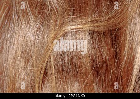 Hambourg, Allemagne. 23rd févr. 2023. Les longs cheveux blonds rougeâtres d'une jeune femme brillent dans la lumière. Credit: Markus Scholz/dpa/Picture Alliance/dpa | Markus Scholz/dpa/Alay Live News Banque D'Images