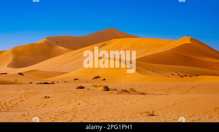 Sossusvlei, dunes de sable rouge en Namibie, située dans la partie sud du désert du Namib. Banque D'Images