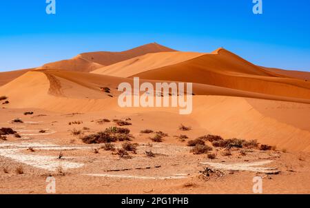 Sossusvlei, dunes de sable rouge en Namibie, située dans la partie sud du désert du Namib. Banque D'Images