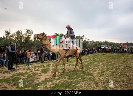 Deir Al-Balah, bande de Gaza, Palestine. 18th mars 2023. Gaza, Palestine. 18 mars 2023. Les Palestiniens font des chameaux parmi les drapeaux nationaux palestiniens lors d'une course dans la ville de Deir El-Balah à Gazan pour commémorer le jour de la Terre. La Journée des terres tombe sur 30 mars et commémore et rend hommage aux six Palestiniens tués et aux centaines blessés par la police israélienne, tout en protestant contre l'expropriation par le gouvernement israélien de terres palestiniennes en Galilée, dans le Naqab et à Wadi Ara en 1976 (Credit image: © Yousef Mohammed/IMAGESLIVE via ZUMA Press Wire) USAGE ÉDITORIAL SEULEMENT! Non commercial Banque D'Images