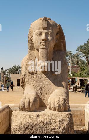 Alabâtre Sphinx d'Amenophis II au Musée mit Rahina, Memphis, près de Sakkara, Égypte Banque D'Images