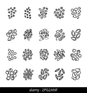 Jeu d'icônes de la ligne noire de grain et de graines. Pictogrammes pour la page Web, l'application mobile, la promotion. Illustration de Vecteur