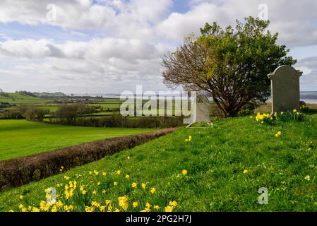 Vue sur le paysage environnant depuis l'église St Arilda sur une colline, Oldbury-on-Severn, South Gloucestershire, Angleterre, Royaume-Uni avec jonquilles printanières, mars Banque D'Images