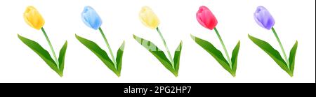 Tulipes de différentes couleurs. Illustration vectorielle. SPE 10. Illustration de Vecteur
