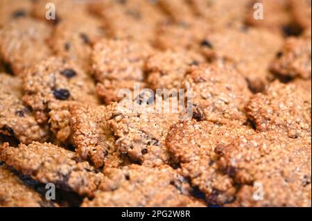 Gros plan des biscuits maison au raisin de flocons d'avoine frais sortis du four sur une grille. Banque D'Images