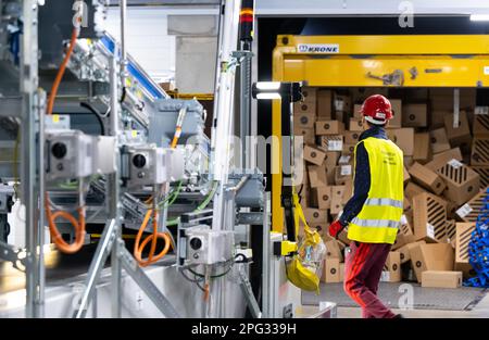 Aschheim, Allemagne. 20th mars 2023. Les employés placent les colis sur un tapis convoyeur du nouveau centre de colis DHL. La connexion au centre de colis existant crée le plus grand site de traitement de colis Deutsche Post DHL en Allemagne. Credit: Sven Hoppe/dpa/Alay Live News Banque D'Images