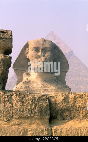 Egypte, Gizeh, le sphinx et les pyramides. Banque D'Images