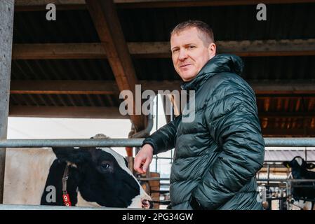 Homme fermier près de ses vaches. Portrait d'un jeune propriétaire de ferme debout dans un long bassin de vache près du corral avec des veaux. Homme dans des vêtements ordinaires vérifie le Banque D'Images