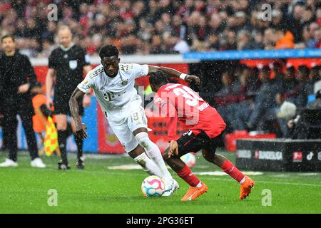 LEVERKUSEN, ALLEMAGNE - 19.03.23: Alphonso Davies. The Bundesliga match FC Bayer 04 Leverkusen vs FC Bayern Muenchen à BayArena Banque D'Images